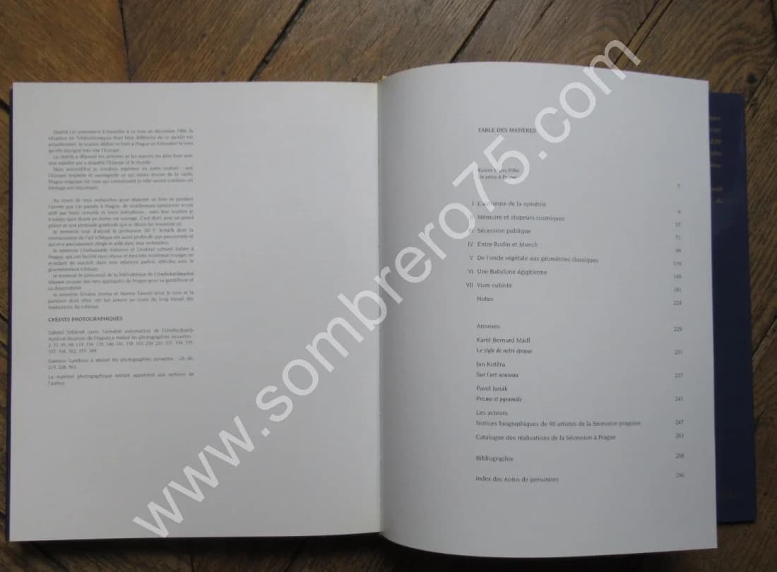 La Sécession à Prague. Luca QUATTOCCHI. Emboitage - Image 16