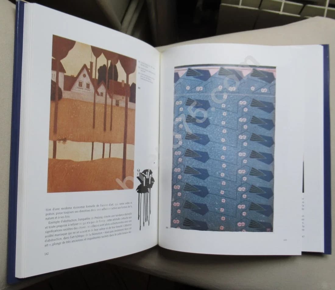 La Sécession à Prague. Luca QUATTOCCHI. Emboitage - Image 7