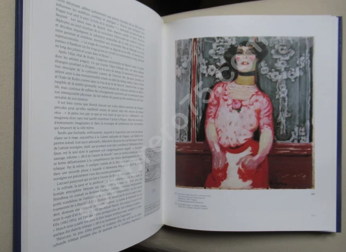 La Sécession à Prague. Luca QUATTOCCHI. Emboitage - Image 9