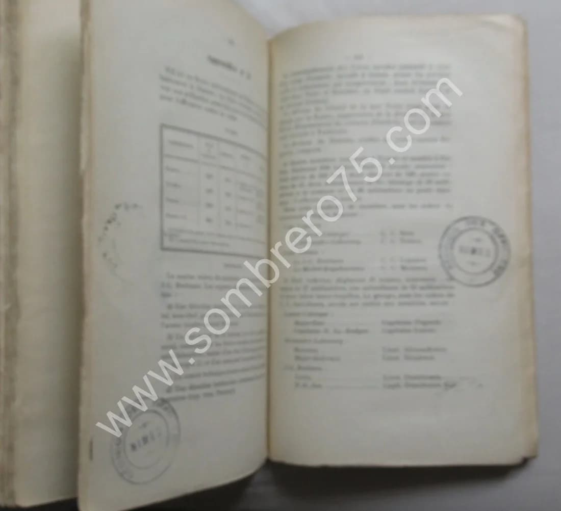 Campagnes de l'Armée Roumaine 1916-1919. Colonel BUJAC - Image 4