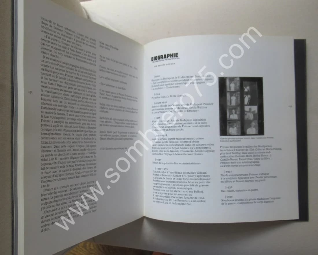 Anton Prinner. Michaele Liénart - Image 7