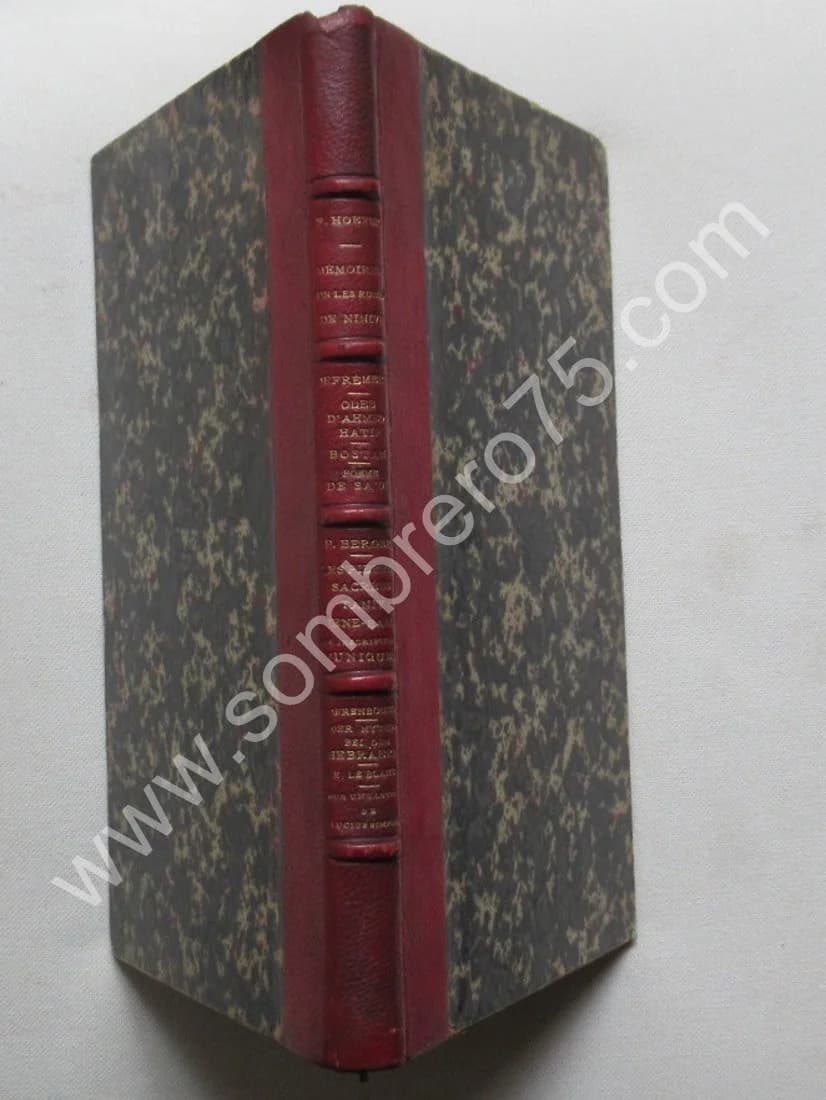 Premier Mémoire sur les Ruines de Ninive et autres textes. Fred. HOEFER