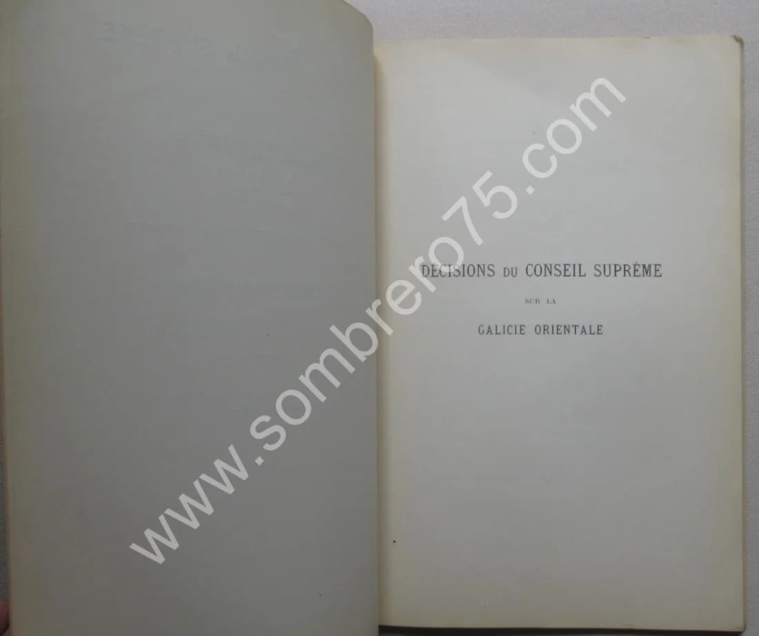 Décisions du Conseil Suprême sur la Galicie Orientale. Ukraine. 1919 M. LOZYNSKY - Image 3