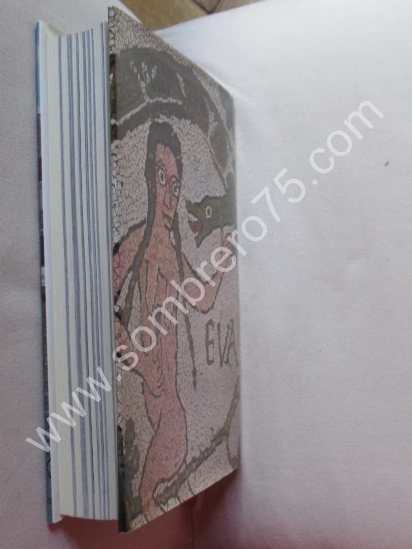 Pouilles Romanes - Image 7