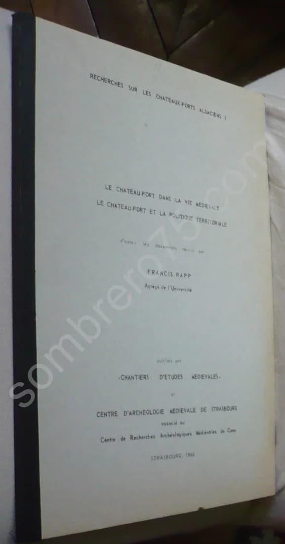 Le Château Fort dans la Vie Médiévale - Le Château Fort et la Politique Territoriale