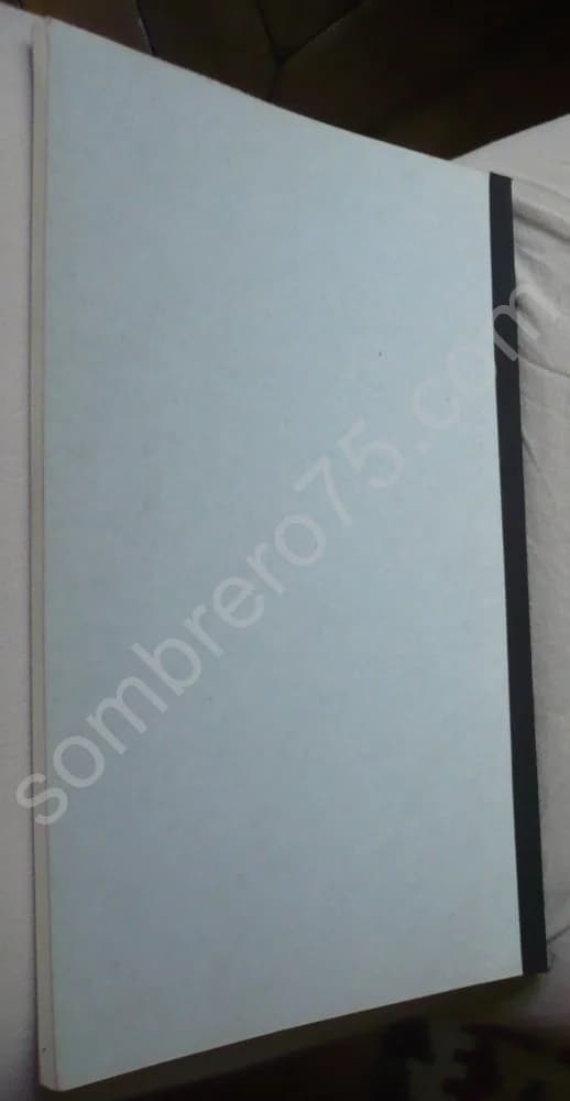 Le Château Fort dans la Vie Médiévale - Le Château Fort et la Politique Territoriale - Image 2