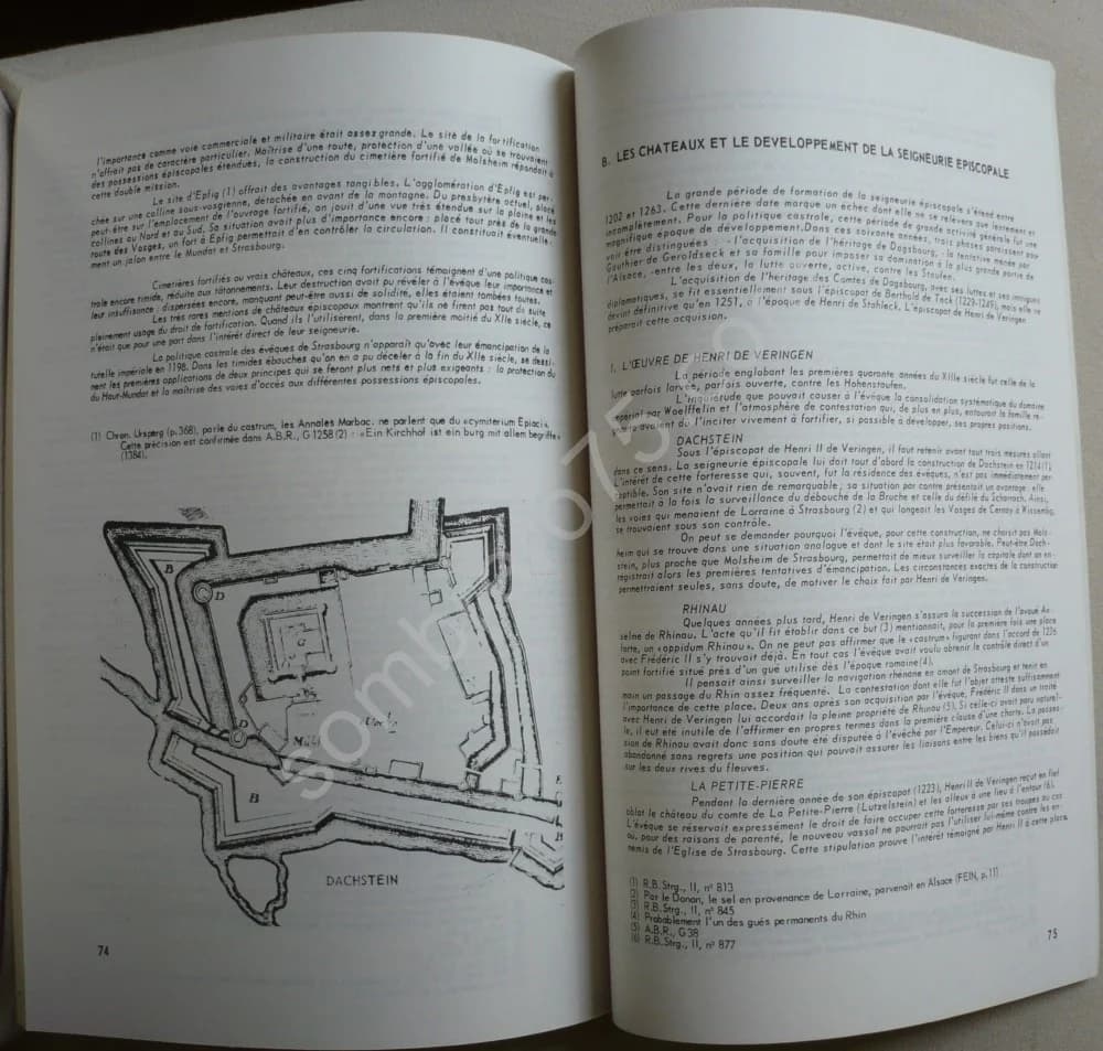 Le Château Fort dans la Vie Médiévale - Le Château Fort et la Politique Territoriale - Image 3