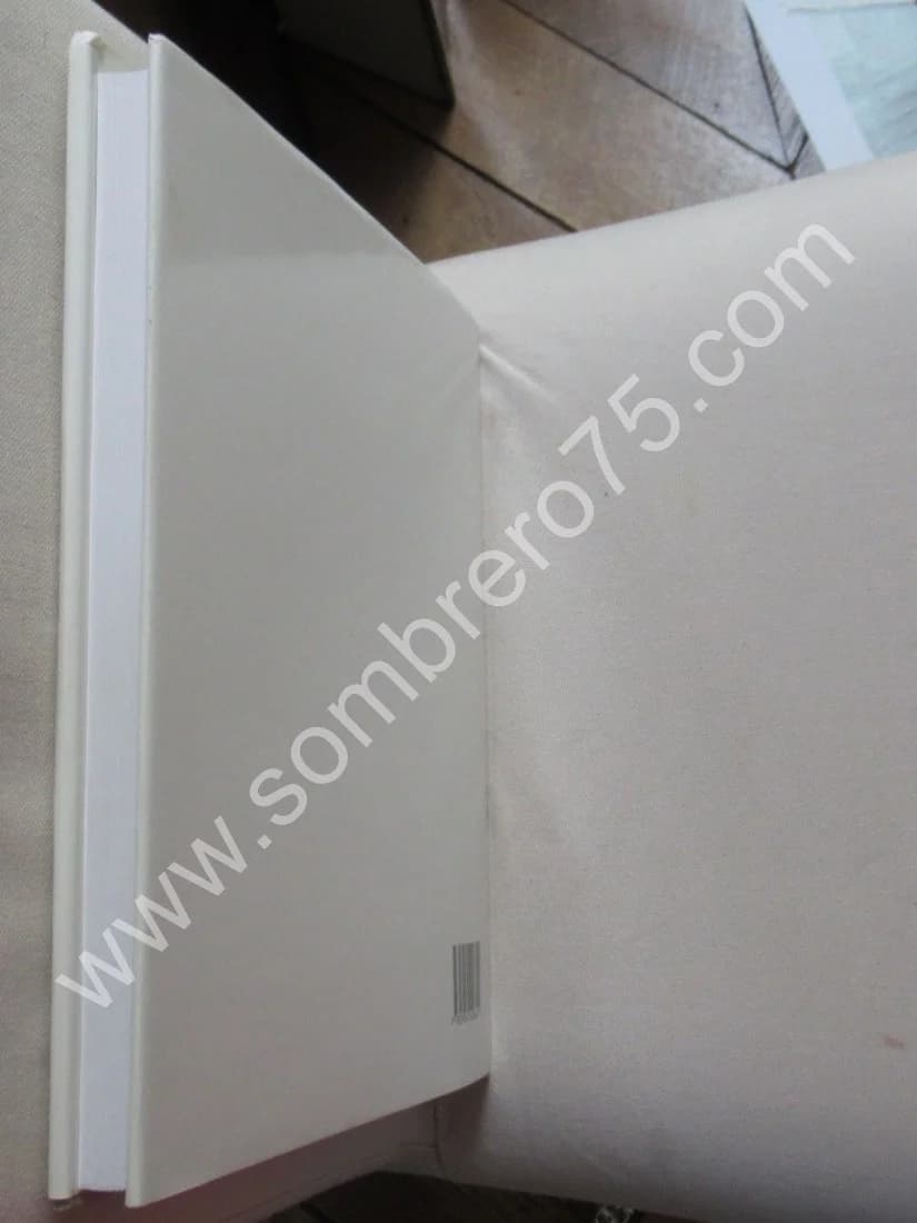 Paul Helleu 1859-1927. Honfleur Juillet-octobre 1993. BERGERET GOURBIN - Image 9