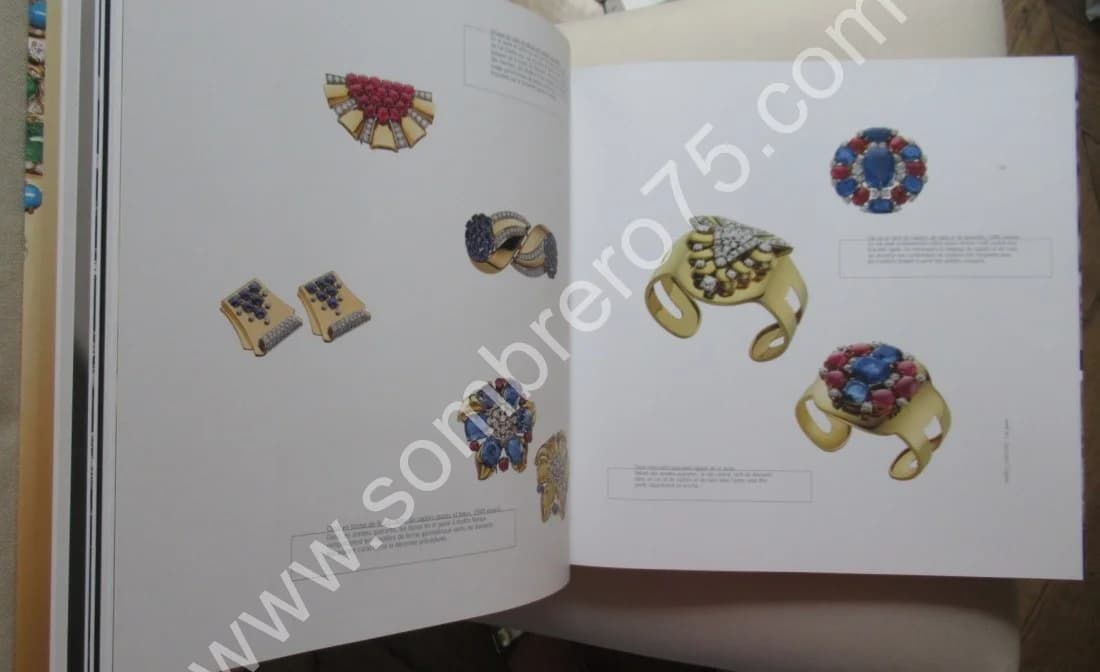 Entre Histoire et Eternité - Bulgari de 1884 à 2009. A. TRIOSSI - Image 5