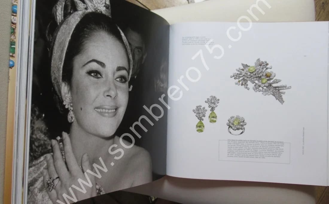 Entre Histoire et Eternité - Bulgari de 1884 à 2009. A. TRIOSSI - Image 7