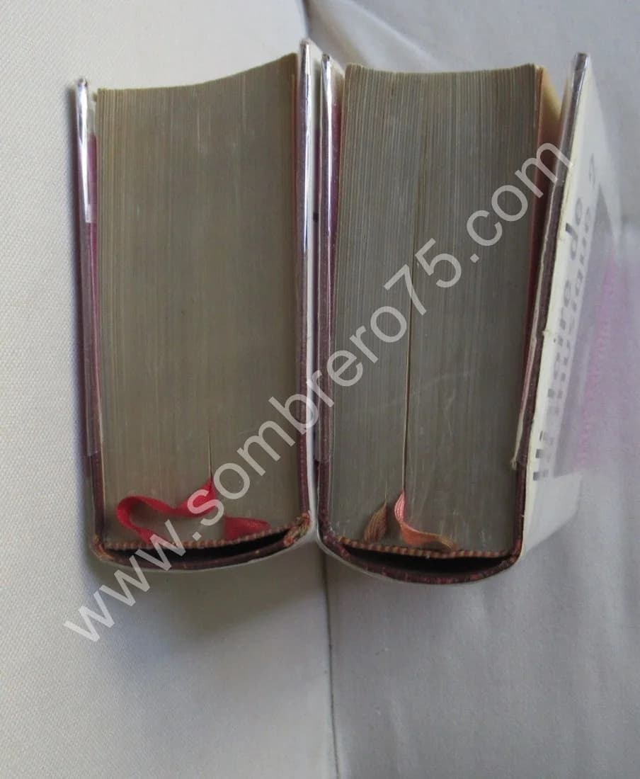 Histoire de la Musique. Pléiade - 2 Tomes - Image 3