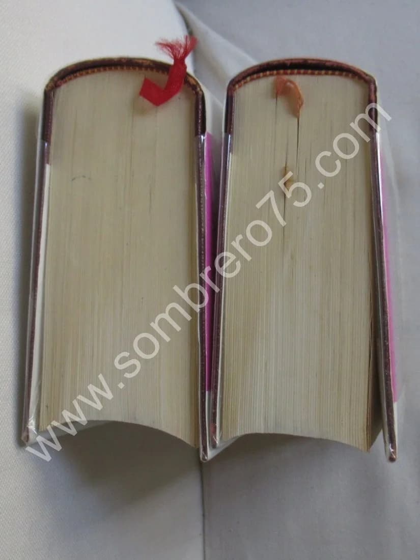 Histoire de la Musique. Pléiade - 2 Tomes - Image 4