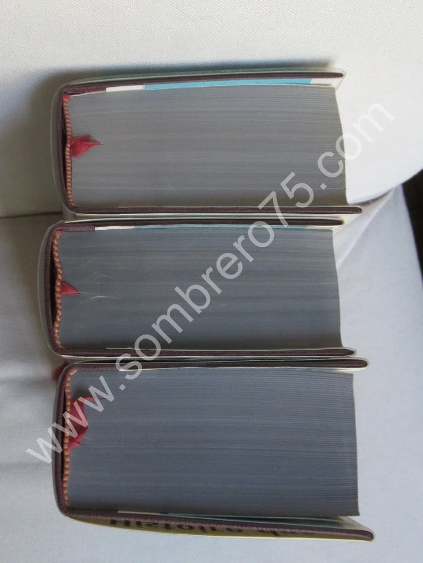 Histoire des Littératures. 3 volumes - Image 3