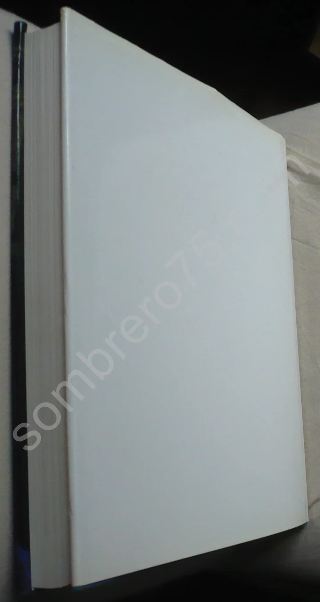 Le Vitrail Gothique au XIIIe Siècle - Image 2