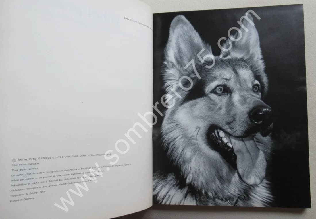 Linhof Pratique. Les Chambres Linhof et leurs accessoires - Image 4