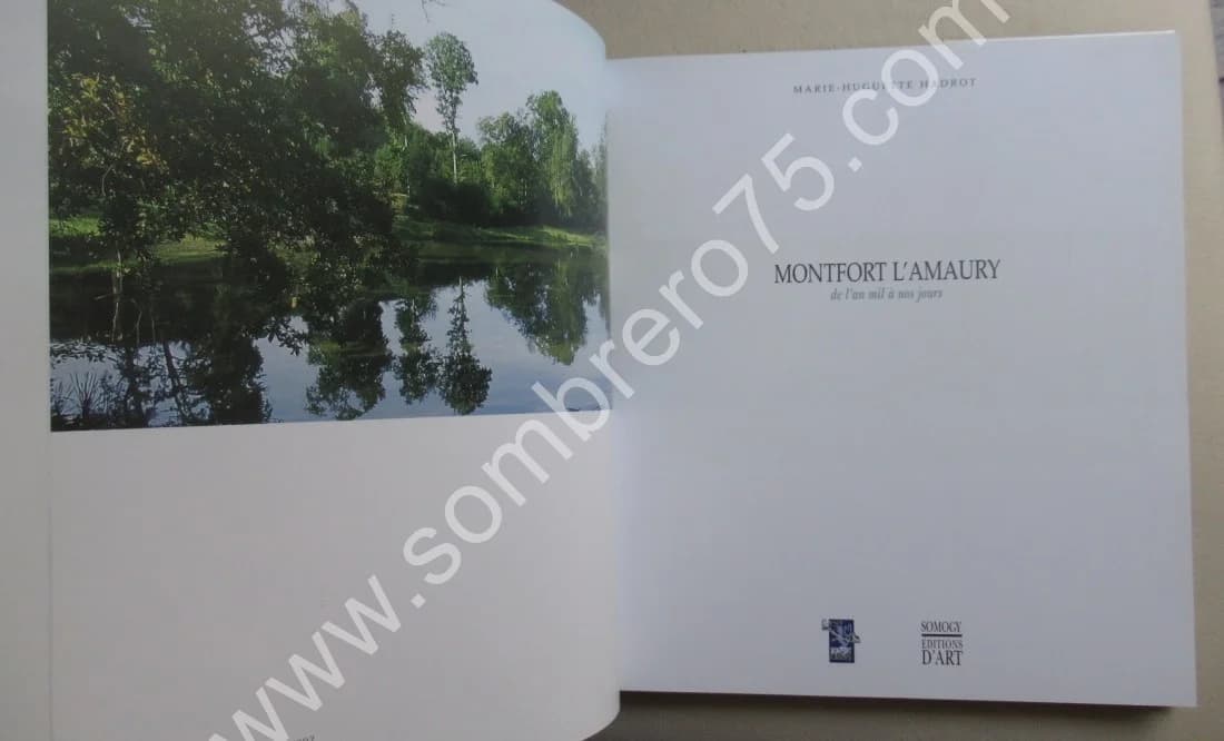 Montfort l'Amaury de l'an mil à nos jours - Image 3