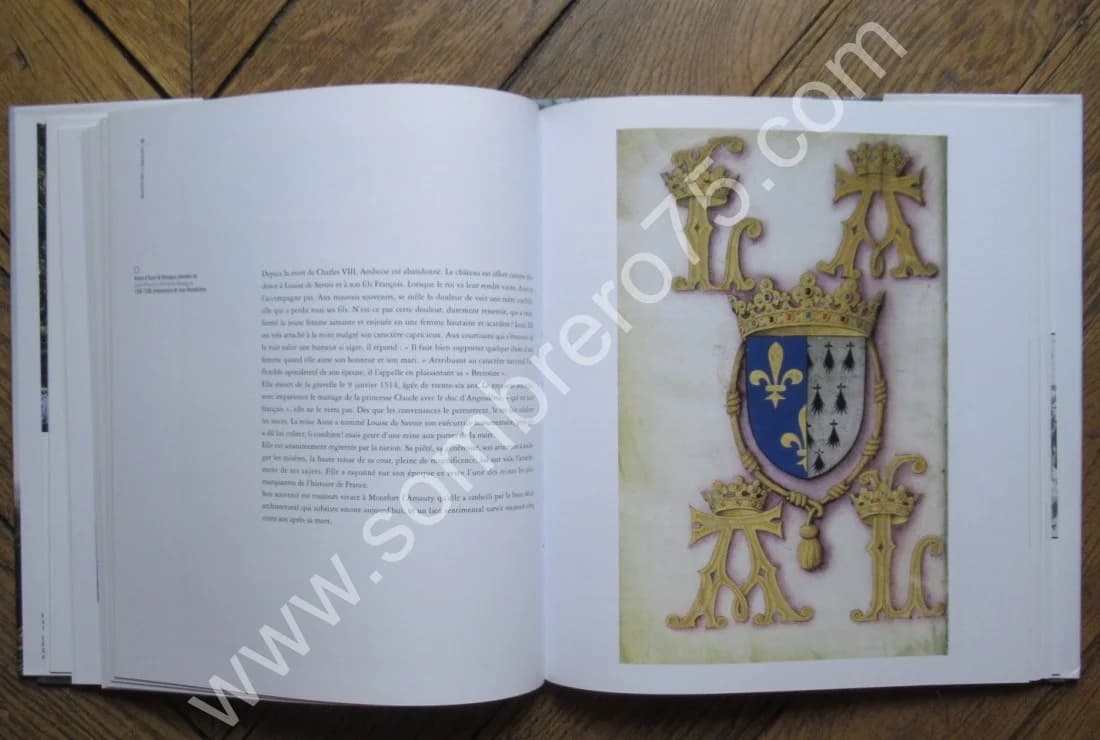 Montfort l'Amaury de l'an mil à nos jours - Image 7