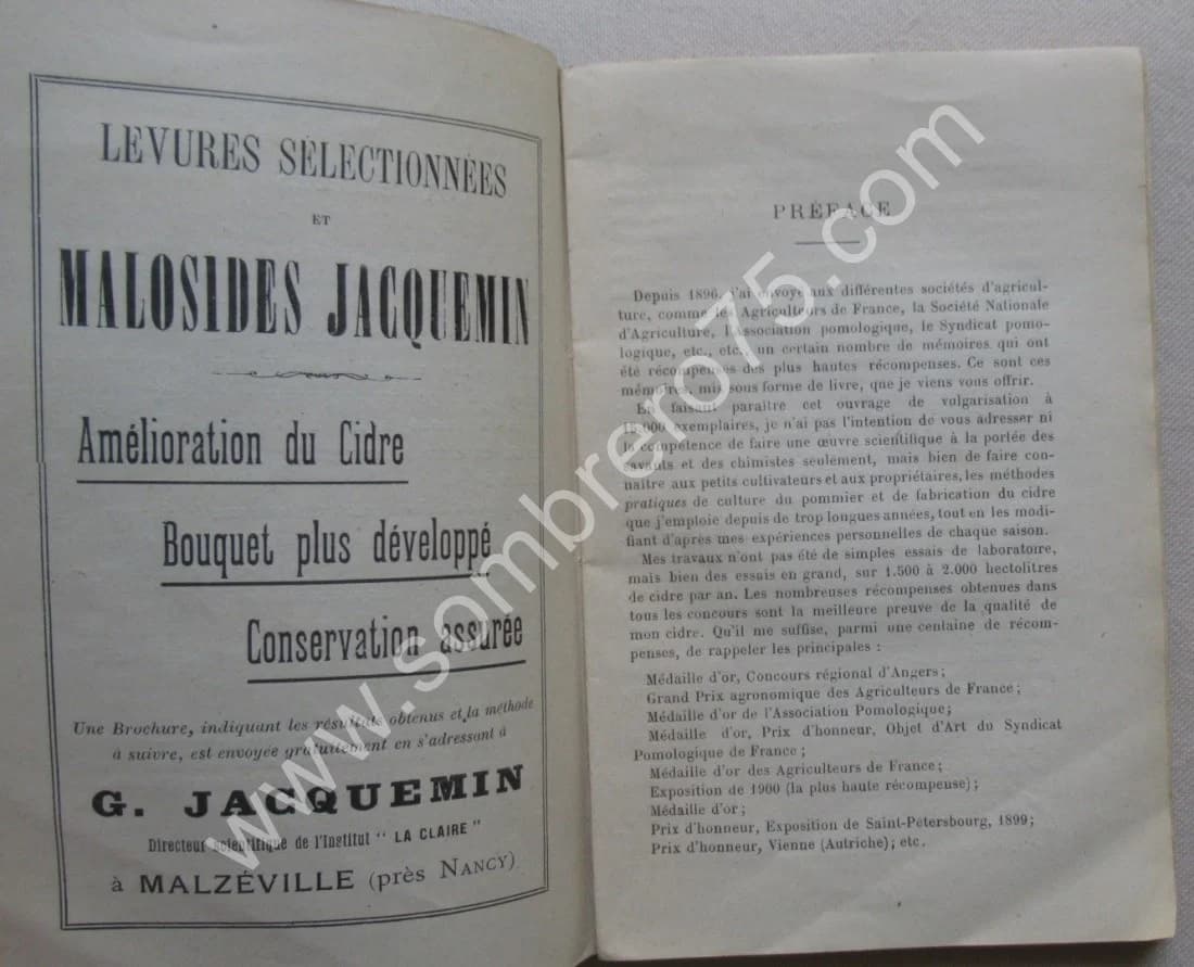 Le Pommier et le Cidre - Image 3