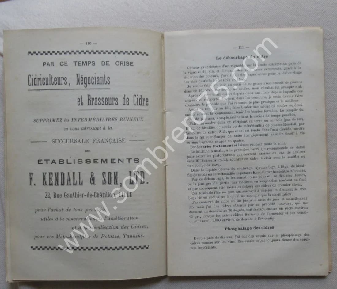 Le Pommier et le Cidre - Image 5