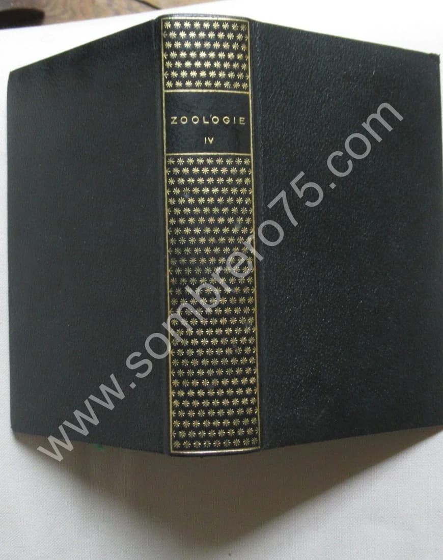 Zoologie. Tome 4. Pléiade