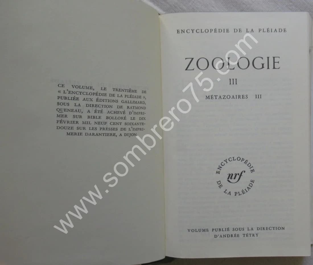 Zoologie - Métazoaires - Tome 3. Pléiade - Image 3