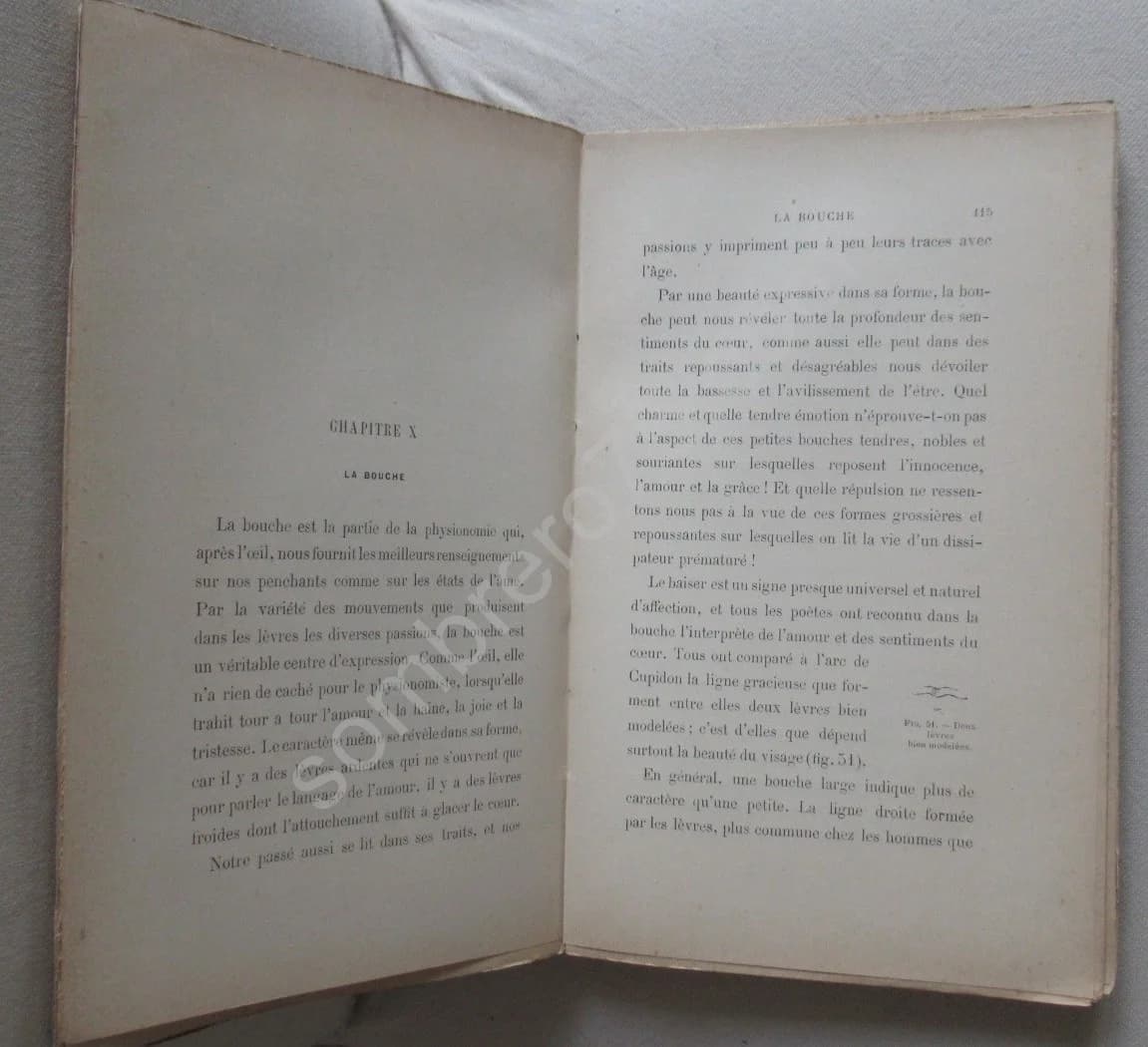 La Physionomie chez l'Homme et chez les Animaux, dans ses Rapports avec l'Expression des Emotions et des Sentiments. SCHACK - Image 5