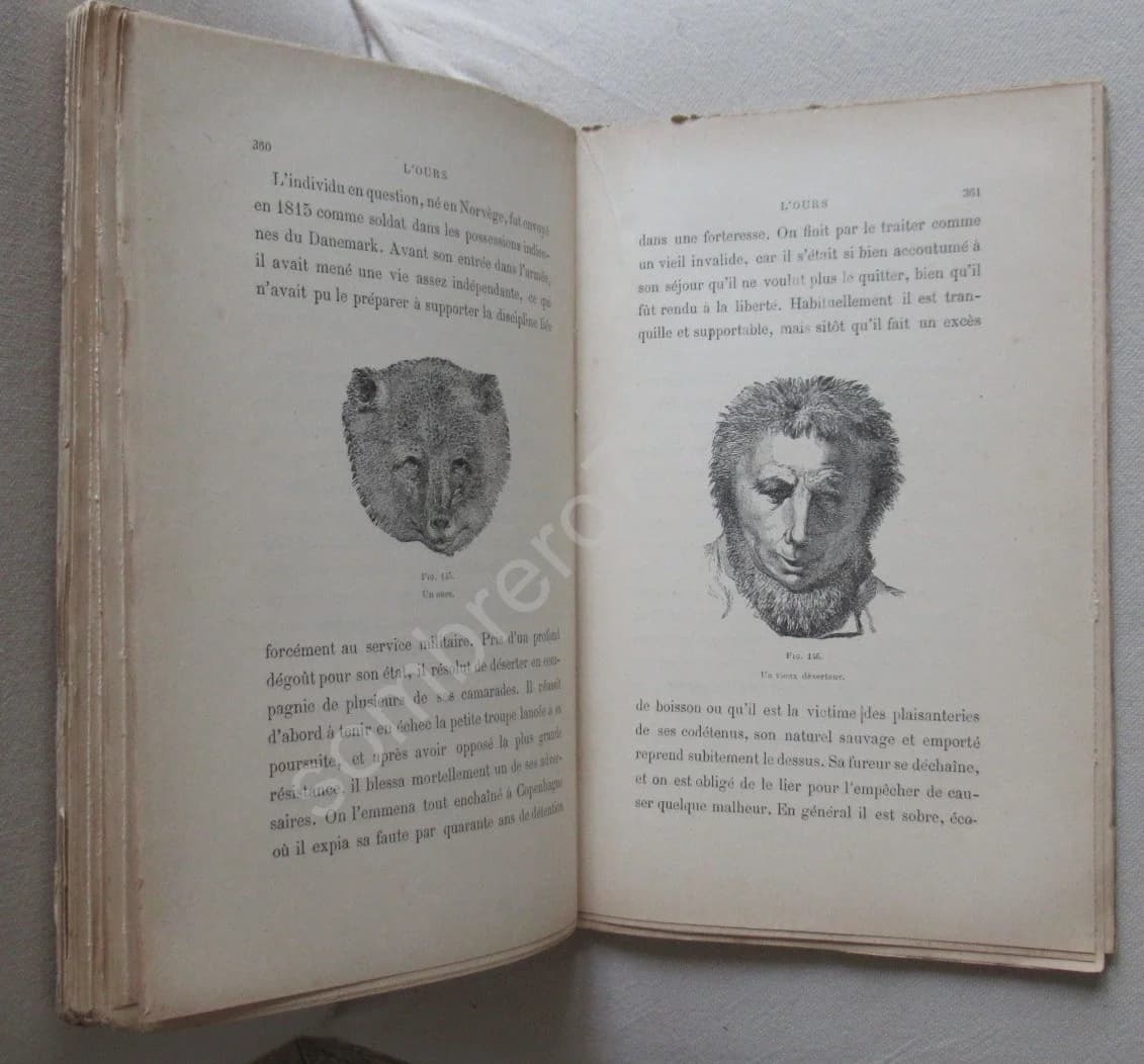 La Physionomie chez l'Homme et chez les Animaux, dans ses Rapports avec l'Expression des Emotions et des Sentiments. SCHACK - Image 6