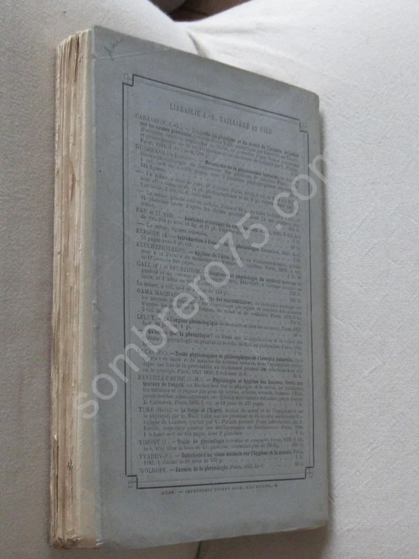 La Physionomie chez l'Homme et chez les Animaux, dans ses Rapports avec l'Expression des Emotions et des Sentiments. SCHACK - Image 7
