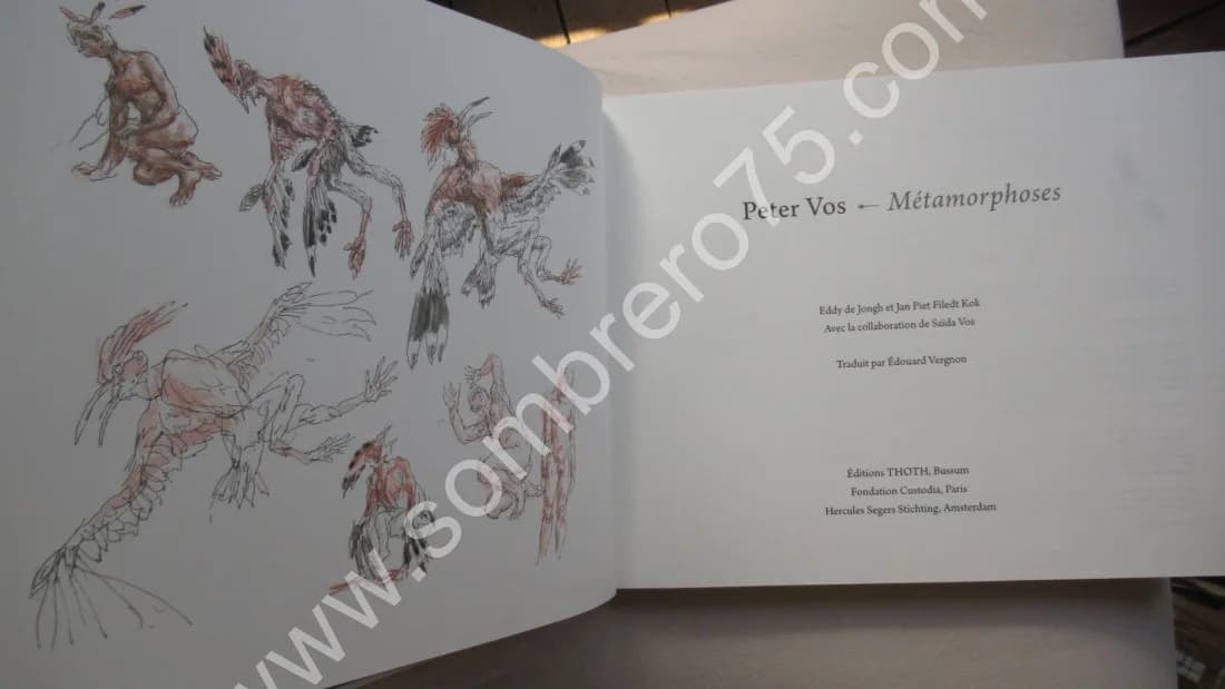 Métamorphoses - Image 3