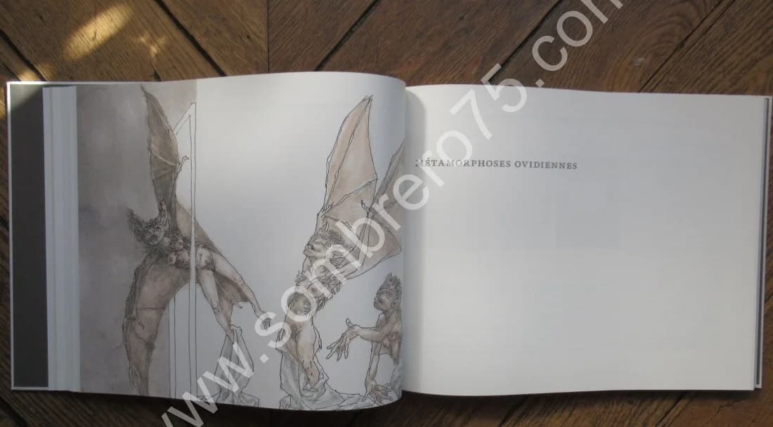 Métamorphoses - Image 5