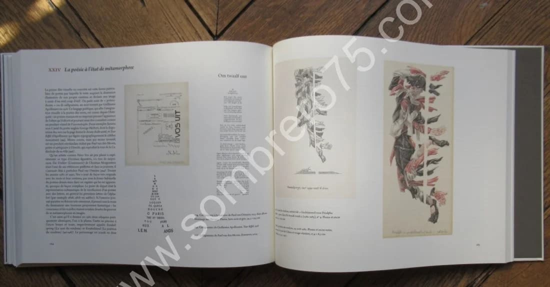 Métamorphoses - Image 7