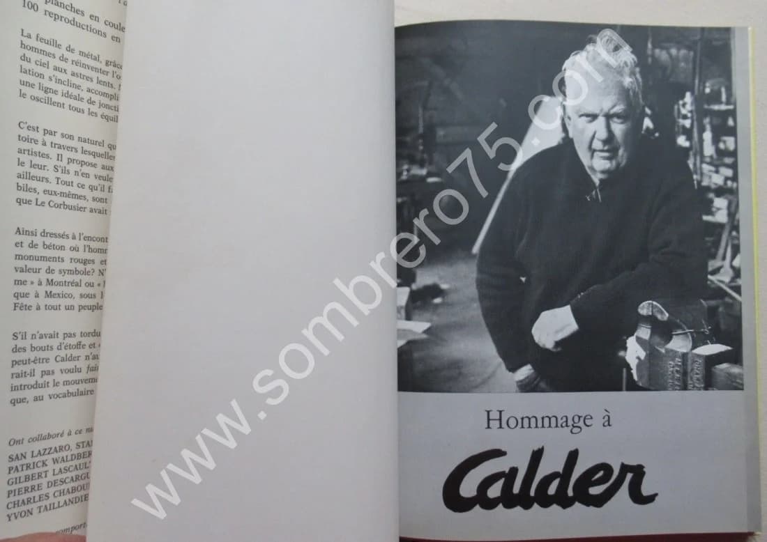 Hommage à Alexander Calder. Numéro Spécial. 1972 Litho - Image 3