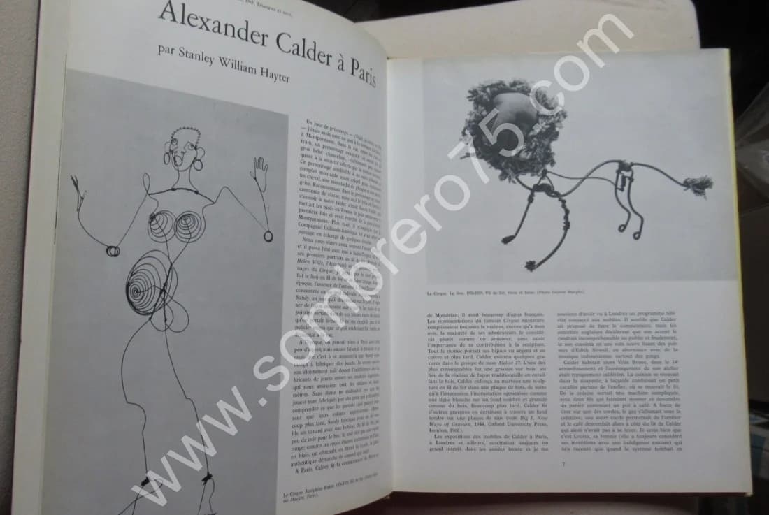 Hommage à Alexander Calder. Numéro Spécial. 1972 Litho - Image 6