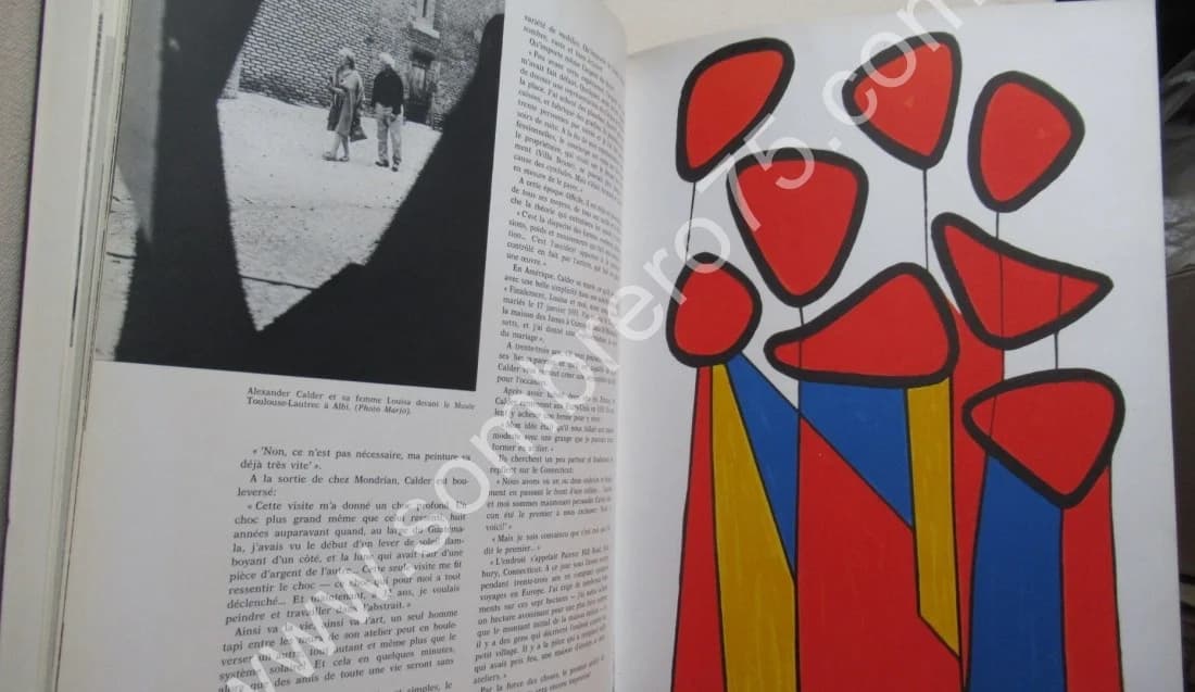 Hommage à Alexander Calder. Numéro Spécial. 1972 Litho - Image 7