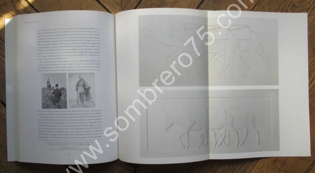 Bernard Boutet de Monvel. Stéphane Jacques ADDADE - Image 6