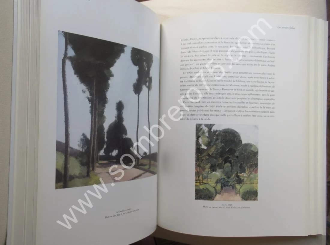 Bernard Boutet de Monvel. Stéphane Jacques ADDADE - Image 8