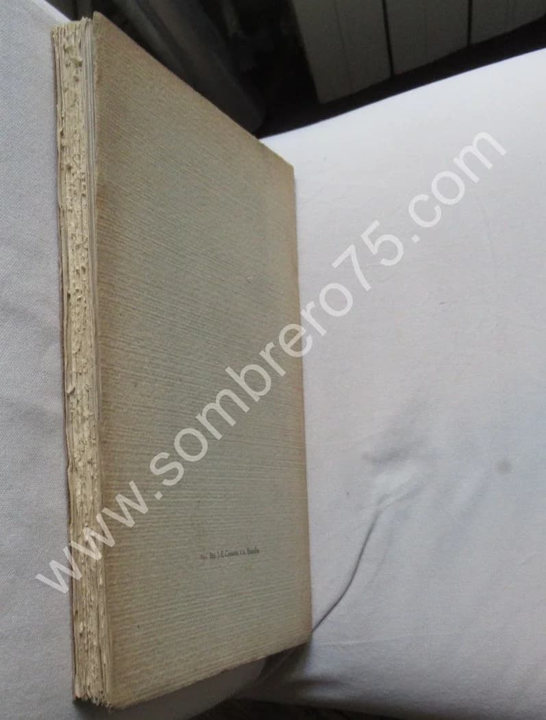 Félicien Rops - Vente Publique Collection Dr Ottokar Mascha 1921 - Image 9