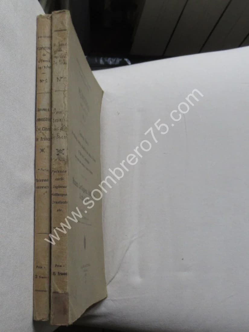 Catalogue Illustré des Animaux Marins - 2 Volumes. L JOUBIN - LE DANOIS - Image 2