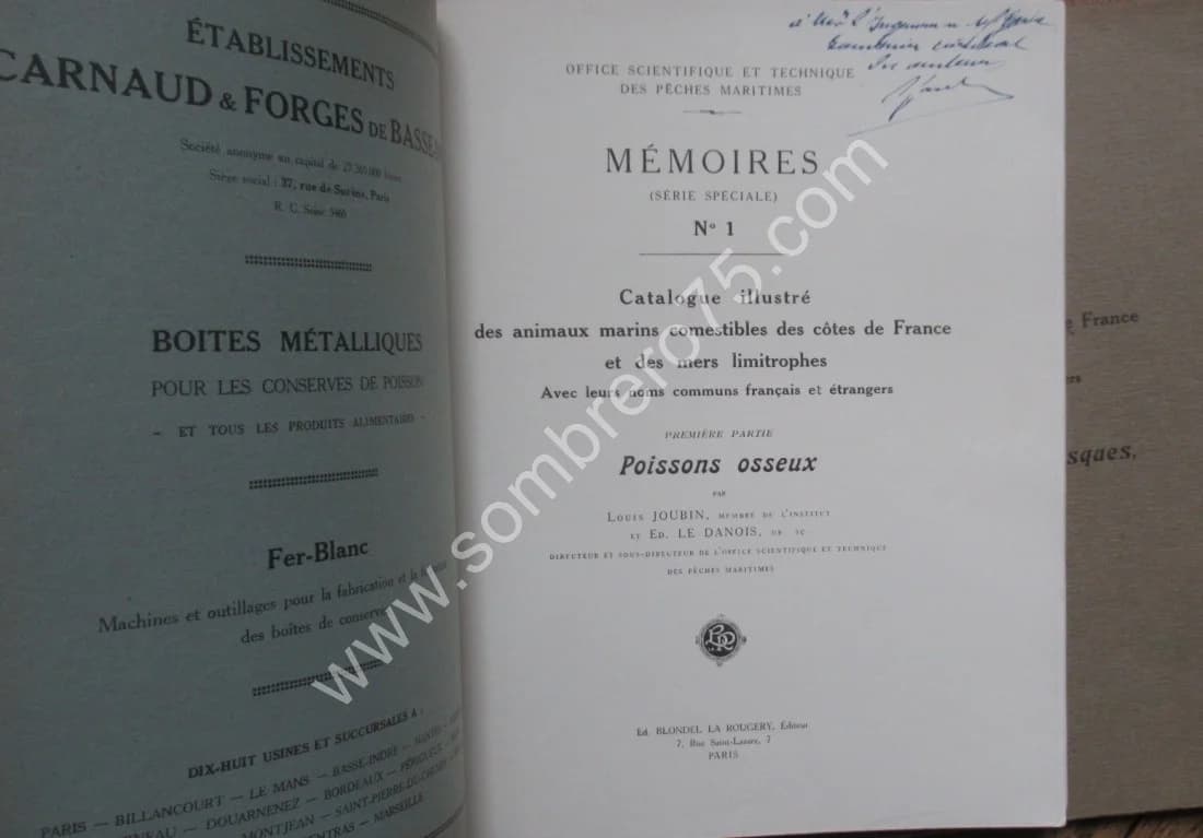 Catalogue Illustré des Animaux Marins - 2 Volumes. L JOUBIN - LE DANOIS - Image 3