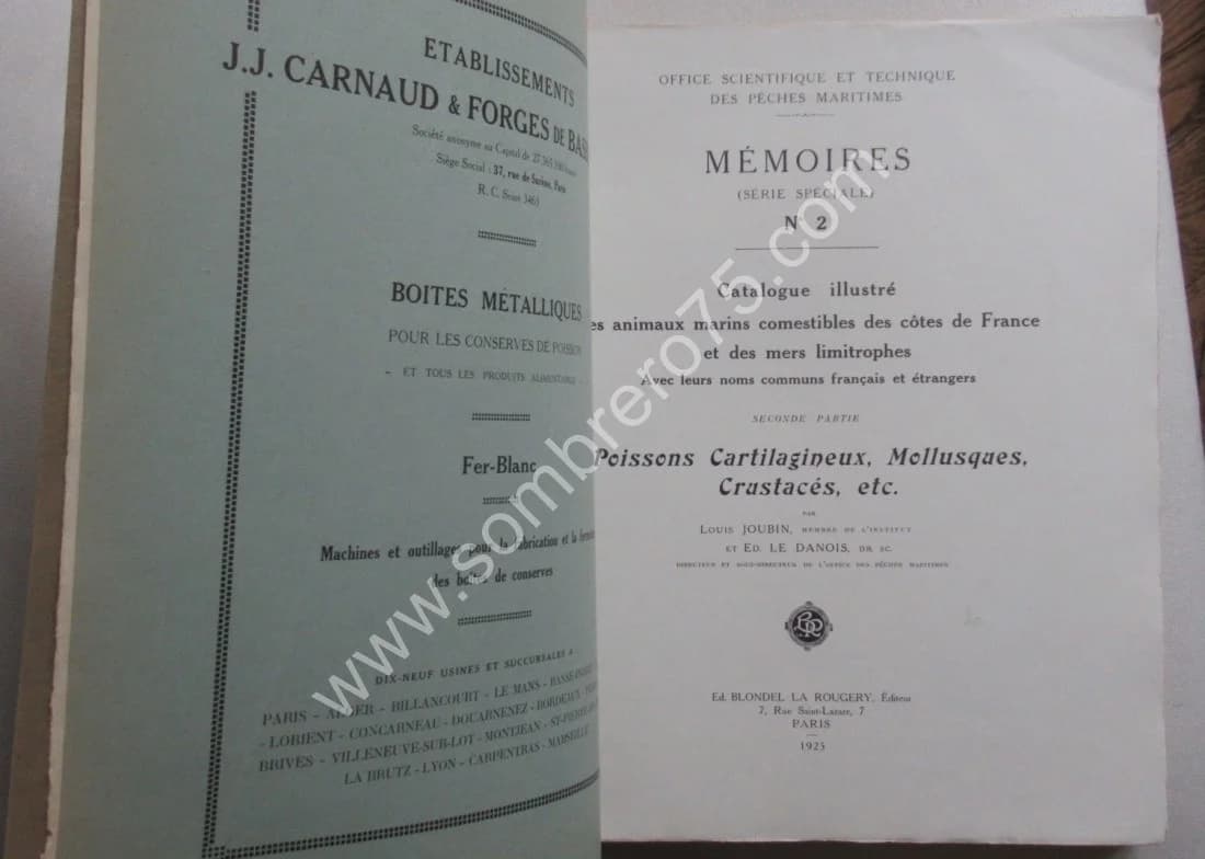Catalogue Illustré des Animaux Marins - 2 Volumes. L JOUBIN - LE DANOIS - Image 4
