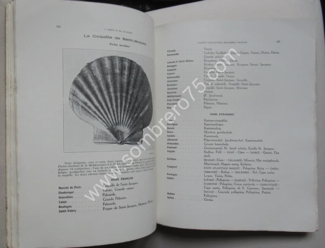Catalogue Illustré des Animaux Marins - 2 Volumes. L JOUBIN - LE DANOIS - Image 7