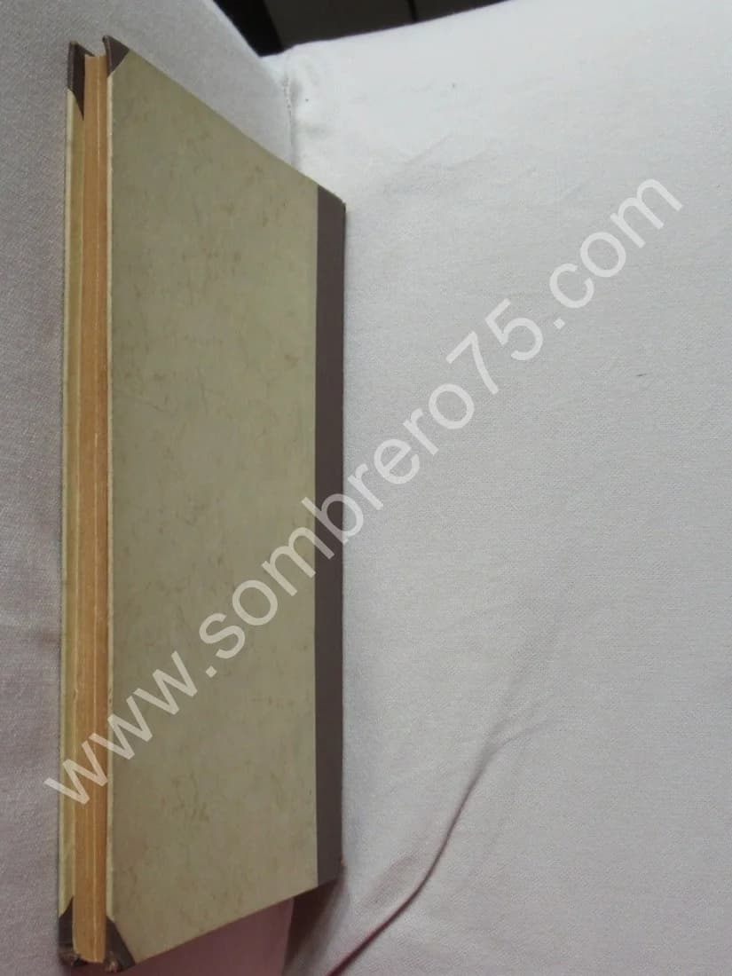 La Vie Trépidante de Théroigne de Méricourt. George LAPORT - Image 6