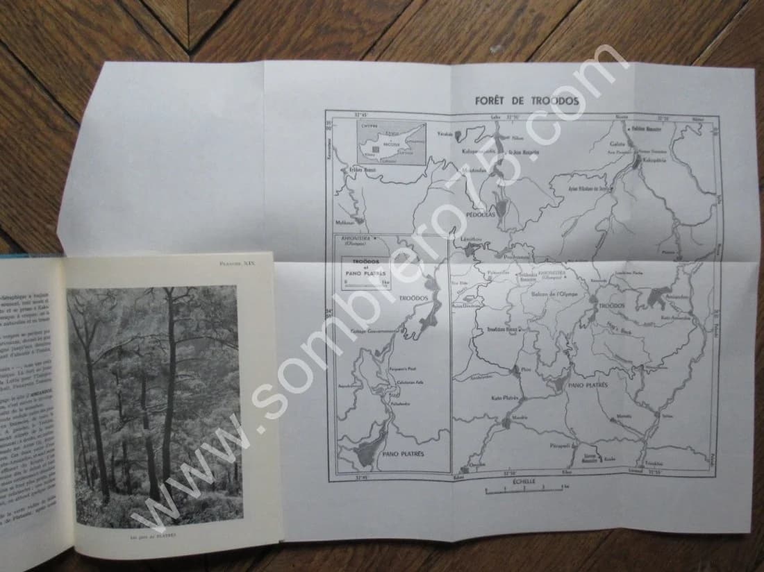 Chypre d'Aujourd'hui - Image 4