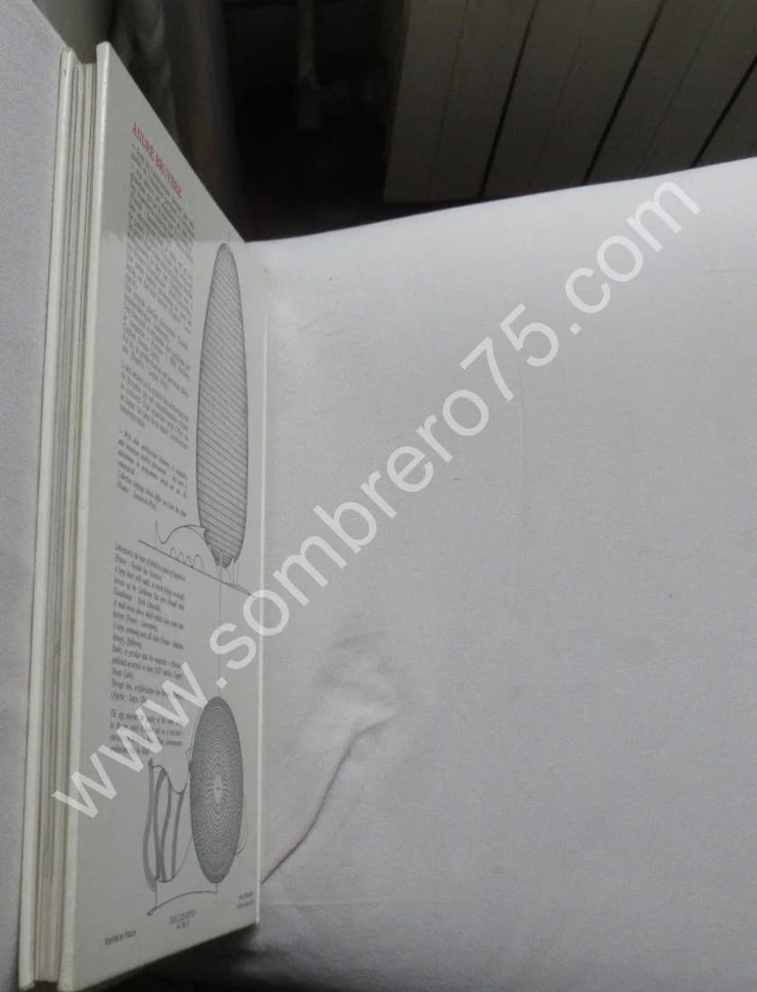 L'Oeuf - The Egg. André BRUYERE - Image 9