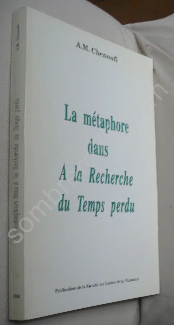 La Métaphore dans : A la Recherche du Temps Perdu