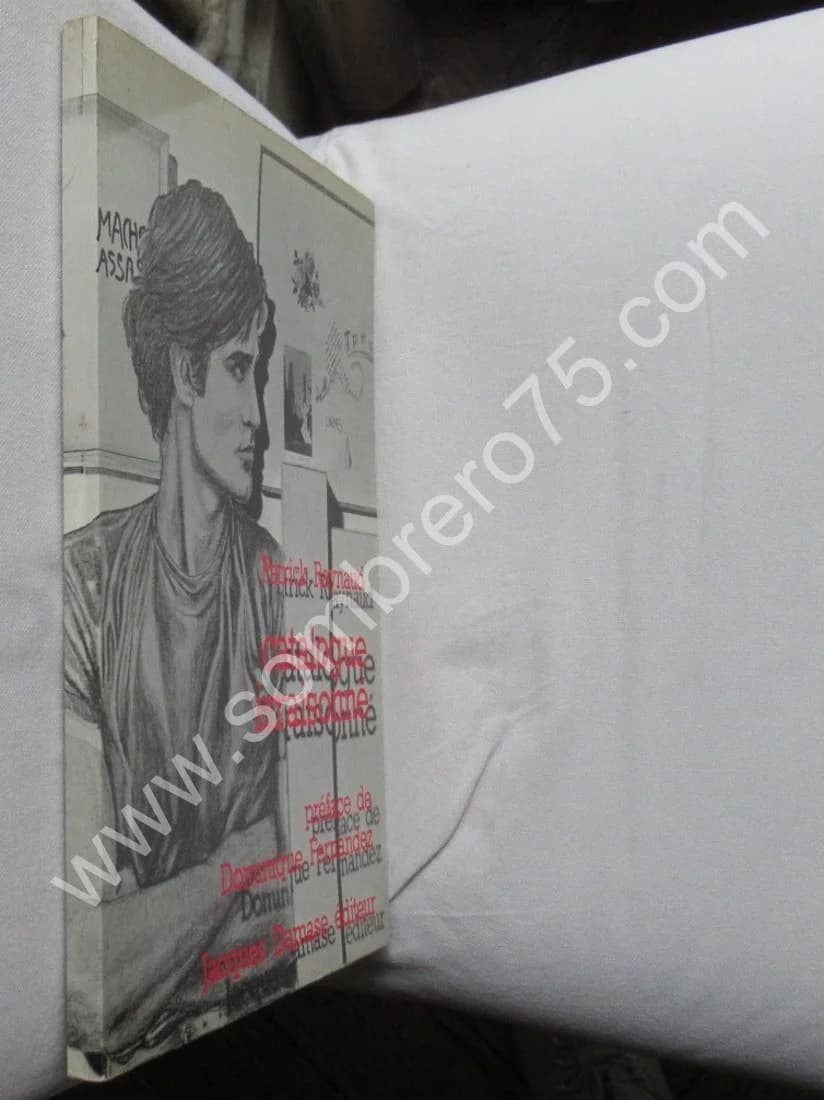 Patrick Raynaud - Catalogue Irraisonné - Image 2