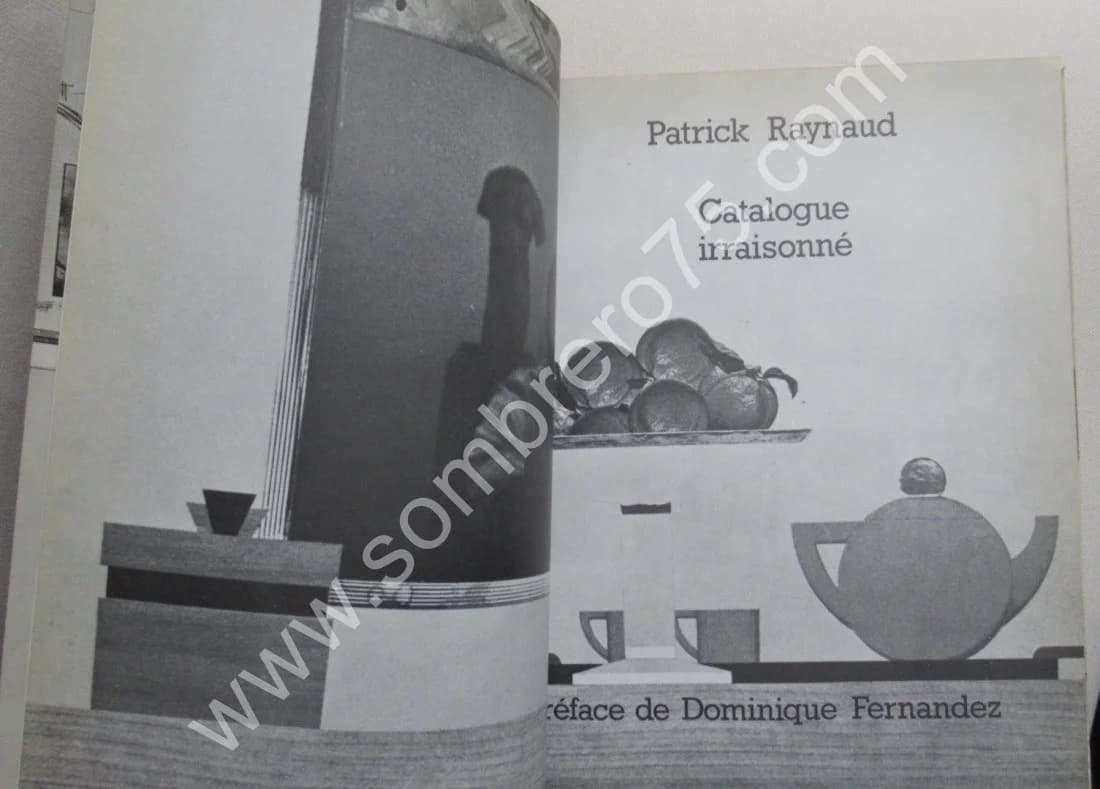 Patrick Raynaud - Catalogue Irraisonné - Image 3
