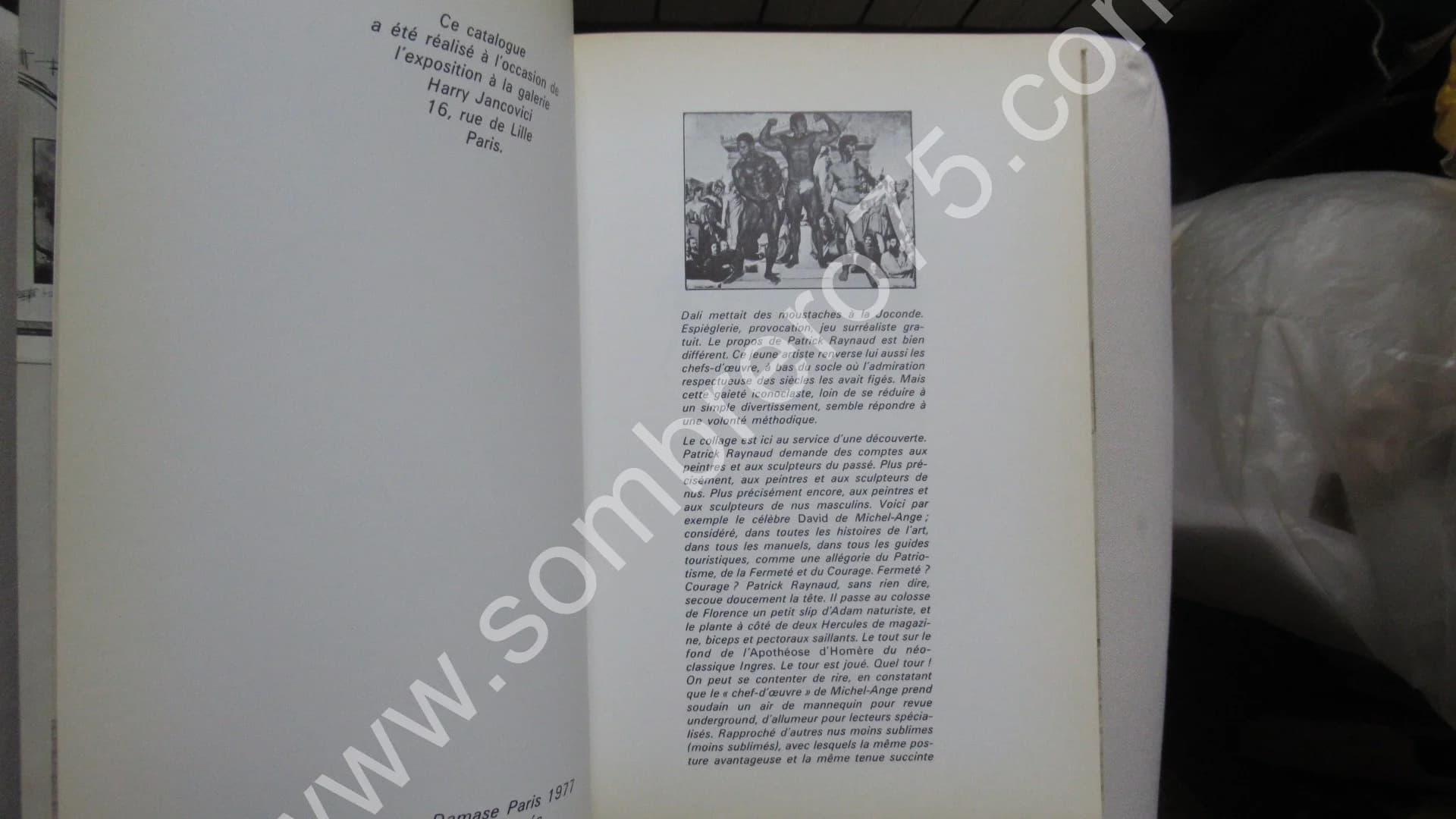 Patrick Raynaud - Catalogue Irraisonné - Image 4