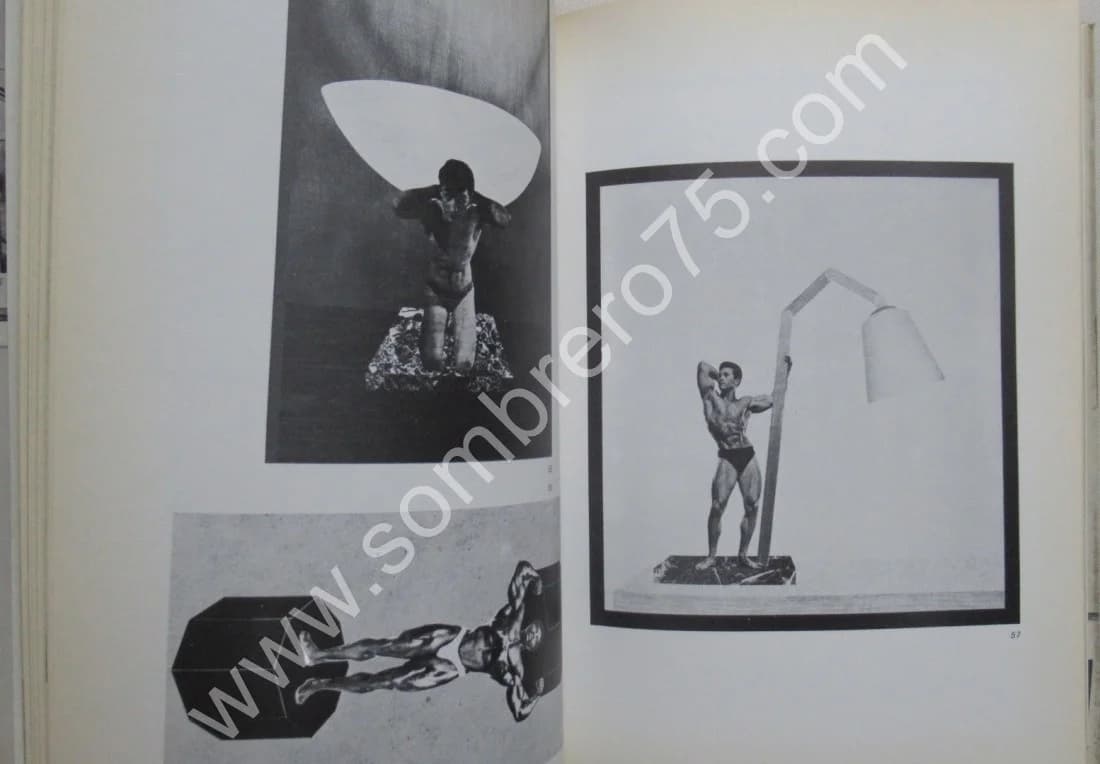 Patrick Raynaud - Catalogue Irraisonné - Image 7