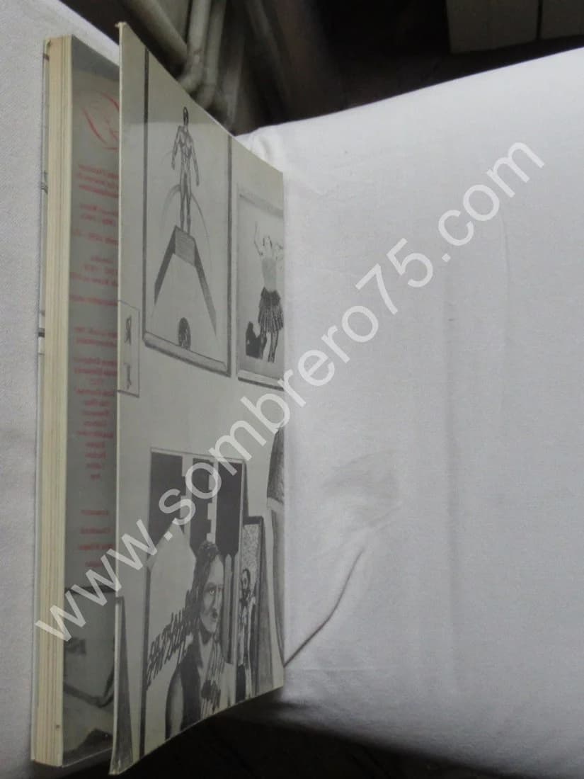 Patrick Raynaud - Catalogue Irraisonné - Image 10